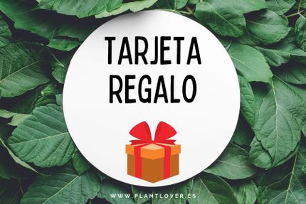 Tarjeta regalo