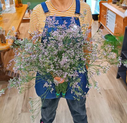 Ramo Limonium Rosa Fresco