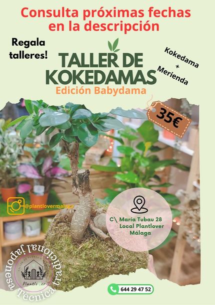 Taller de Kokedamas + Merienda