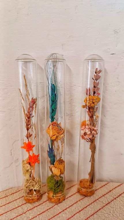 Probeta Flor Preservada