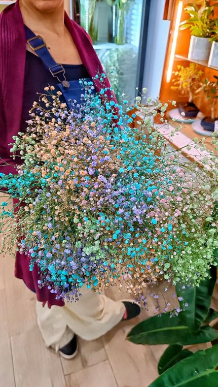 Ramo Paniculata Arcoiris